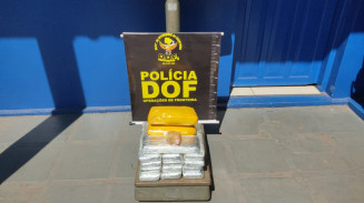 Mulher que seguia com drogas para o Maranhão é presa pelo DOF
