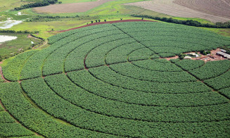 Governo quer aumentar ações de promoção do agro brasileiro no exterior