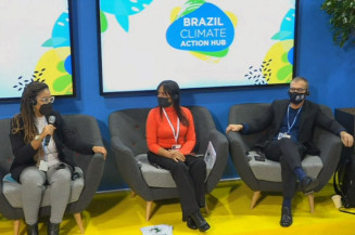 COP26: relatório dos senadores aponta aumento do desmatamento