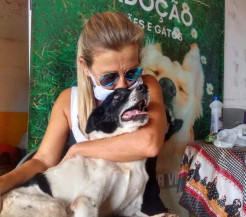 Em Dourados o abandono de animais cresceu 70% na pandemia