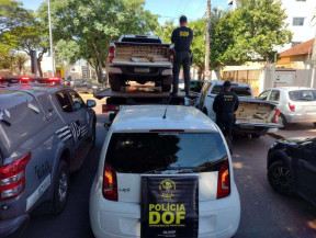 DOF apreende 3 toneladas e maconha e camionete roubada