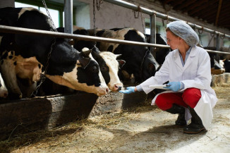 Campanha mundial alerta para os cuidados no uso de antimicrobianos