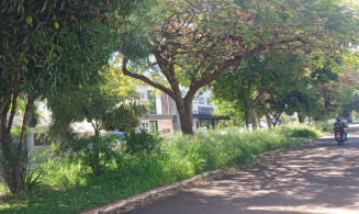 Tomada de sujeira e matagal, Dourados tem licitação de limpeza suspensa
