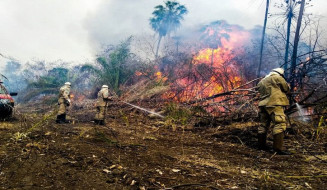 Bombeiros Militares encerram Operação Hefesto no Pantanal