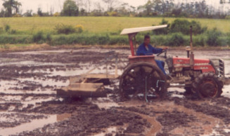 Estudo quantifica emissão de metano em arroz irrigado