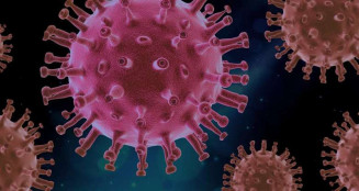 Omicron: O que Brasil deve fazer para impedir a chegada da nova variante detectada na África do Sul