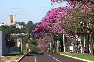 Dourados mantém o terceiro maior PIB de MS