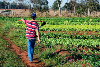 Congresso restabelece auxílio a produtores rurais afetados pela pandemia