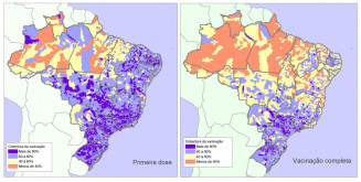MonitoraCovid-19 avalia desigualdades no processo de vacinação