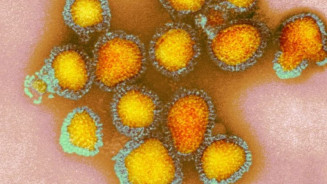 Jovem de 21 anos é 1º óbito por gripe A H3N2 em MS