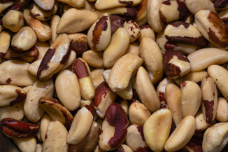 Preços mínimos de produtos da biodiversidade da safra de 2022 são atualizados