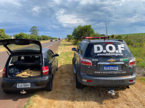 Dupla é presa pelo DOF com mais de 300 quilos de drogas entre Caarapó e Juti