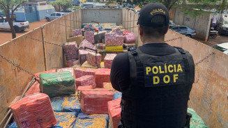 DOF faz a maior apreensão de drogas do país em Laguna Caarapã