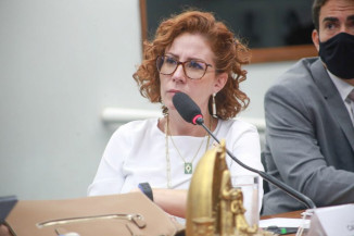 Comissão aprova multa para proprietário que deixar animal circular em estradas