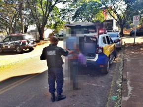 GM realizou 250 atendimentos a mulheres vítimas de violência doméstica em 2021
