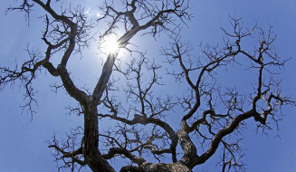 Domingo ensolarado, seco e calor em todas as áreas de MS