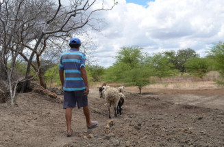 Garantia-Safra autoriza pagamento para mais de 74 mil agricultores familiares em janeiro