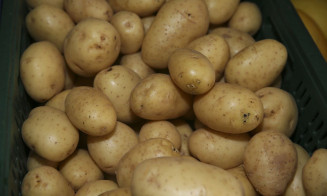 Programa Modernização do Mercado Hortigranjeiro tem 1º boletim