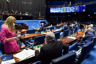Senadores celebram Dia Internacional da Educação