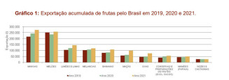 Brasil bate recorde histórico com mais de US$ 1,21 bilhão em exportação de frutas em 2021