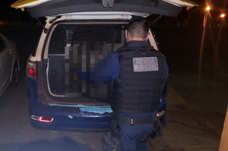 Neta descumpre medida protetiva, invade casa do avô e ameaça idoso de morte