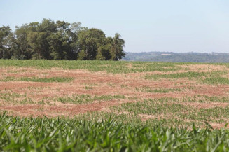 Comissão Especial de Recursos do Proagro analisa 150 processos de produtores rurais e divulga resultados