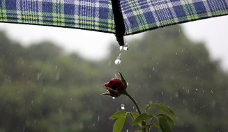 Chuva no final de semana pode atingir 50 mm ao dia