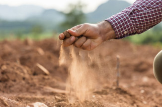 Agricultores receberam R$ 4,1 bilhões em indenizações de seguro rural entre janeiro e novembro de 2021