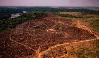 Projeto assegura a todos o direito de buscar na justiça a preservação do meio ambiente