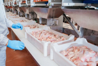 Brasil puxou queda de preço da carne de frango em janeiro