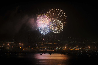 Para proteger animais, projeto prevê proibição de fogos de artifício barulhentos