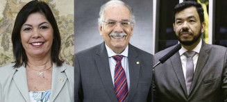 Três deputados de MS votam pela aprovação do ‘pacote do veneno’