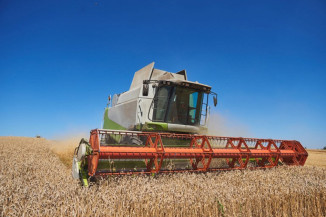 Produção agrícola deve bater recorde neste ano