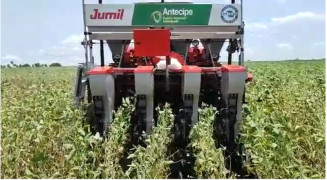 Sistema Antecipe reduz risco climático para milho safrinha Mato Grosso do Sul