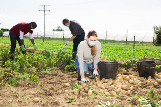 Mais de 57 mil agricultores familiares irão receber Garantia-Safra em fevereiro