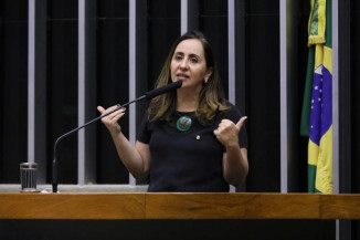 Proposta define regras sobre críticas à administração pública e seus representantes