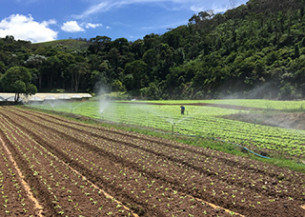 Sistema de Classificação de Terras para Irrigação ganha versão nacional