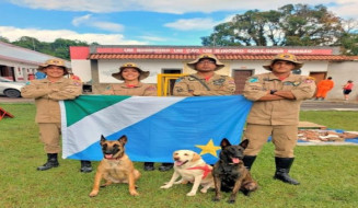 Cães do Corpo de Bombeiros Militar de MS vão ajudar no resgate de vítimas em Petrópolis