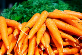 Embrapa disponibiliza publicação sobre sistema de produção de cenoura