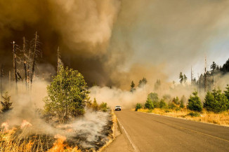 Número de incêndios florestais aumentará em 50% até 2100