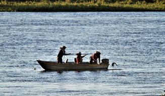 Piracema termina amanhã; saiba como emitir a Carteira Digital e relembre as regras da pesca