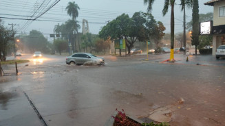 Temporal derruba árvores, alaga casas e provoca estragos no comércio