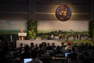 Assembleia ambiental da ONU termina com 14 resoluções para conter a poluição e proteger e restaurar a natureza