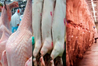 Desempenho exportador das carnes em fevereiro de 2022