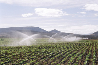 CRA discute Plano Nacional de Fertilizantes na quinta-feira