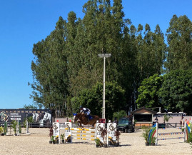 I Etapa do Ranking de Salto Federação Sul mato-grossense de Hipismo acontece neste sábado e domingo