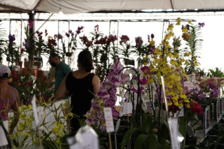 Feira das Flores na Antônio João vai até dia 9