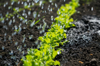 Programa Nacional de Zoneamento Agrícola de Risco Climático divulga o cronograma de publicações para 2022