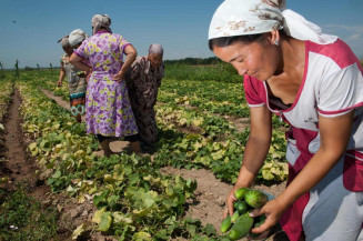 Prêmio Mulheres Rurais recebe 482 inscrições de todo o Brasil
