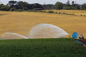 Medida provisória muda assinatura eletrônica da Cédula de Produto Rural